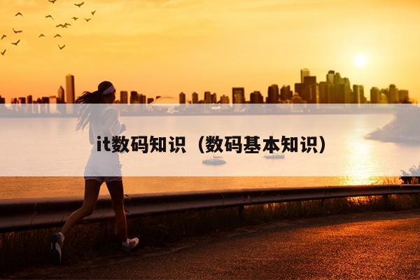 it数码知识（数码基本知识）