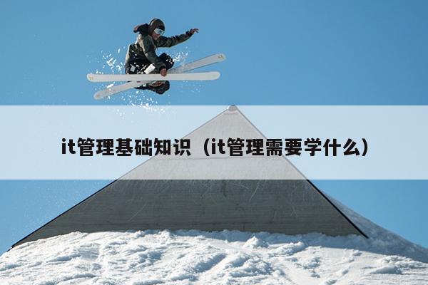 it管理基础知识（it管理需要学什么）