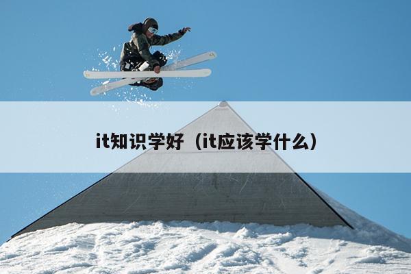 it知识学好（it应该学什么）