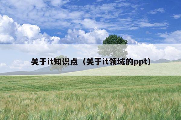 关于it知识点（关于it领域的ppt）