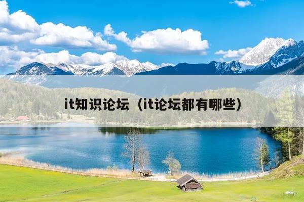 it知识论坛（it论坛都有哪些）