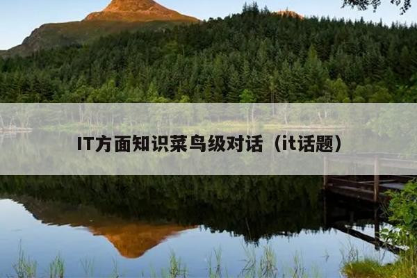 IT方面知识菜鸟级对话（it话题）
