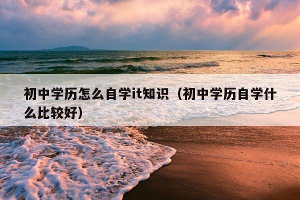 初中学历怎么自学it知识（初中学历自学什么比较好）