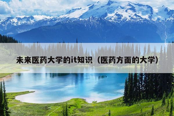 未来医药大学的it知识（医药方面的大学）