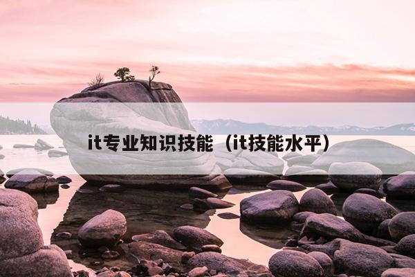 it专业知识技能（it技能水平）