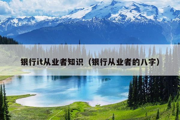银行it从业者知识（银行从业者的八字）