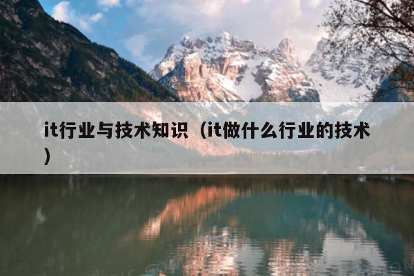 it行业与技术知识（it做什么行业的技术）