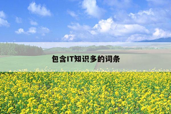 包含IT知识多的词条