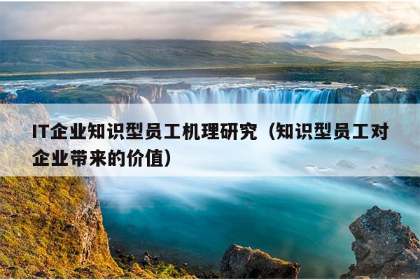 IT企业知识型员工机理研究（知识型员工对企业带来的价值）