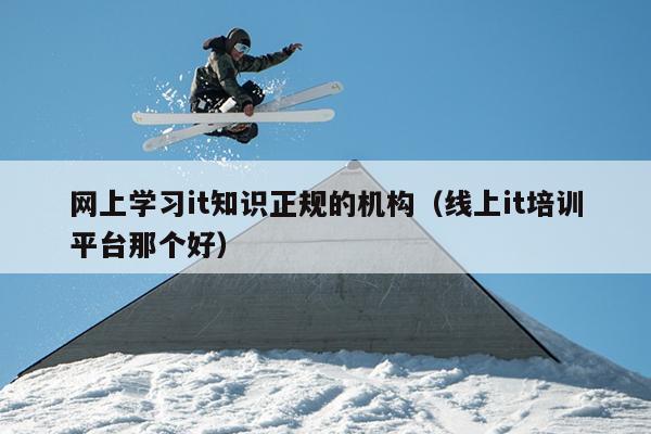网上学习it知识正规的机构（线上it培训平台那个好）