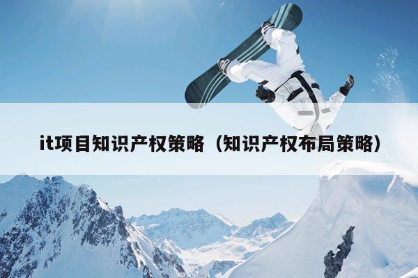 it项目知识产权策略（知识产权布局策略）