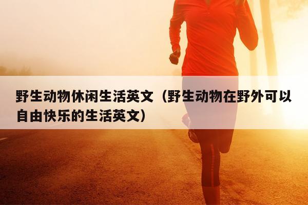 野生动物休闲生活英文（野生动物在野外可以自由快乐的生活英文）