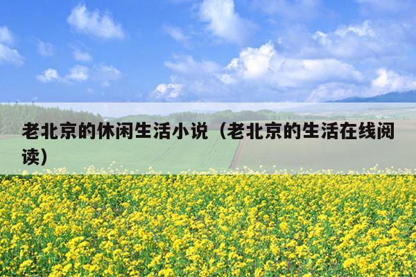 老北京的休闲生活小说（老北京的生活在线阅读）