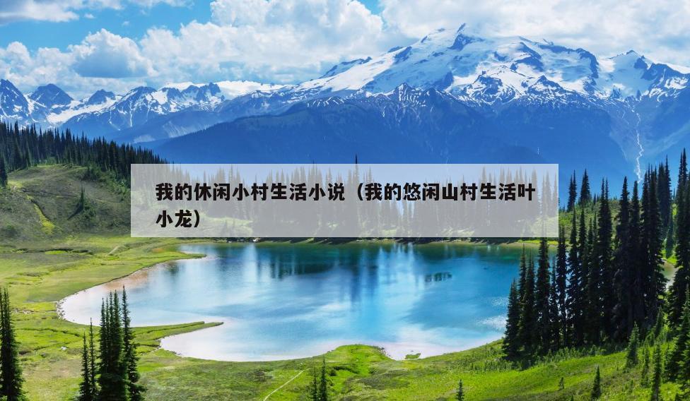 我的休闲小村生活小说（我的悠闲山村生活叶小龙）