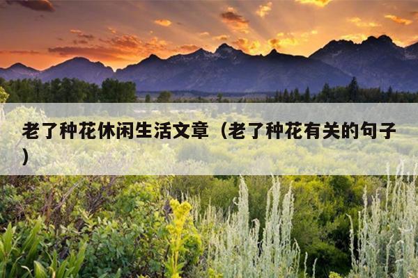 老了种花休闲生活文章（老了种花有关的句子）