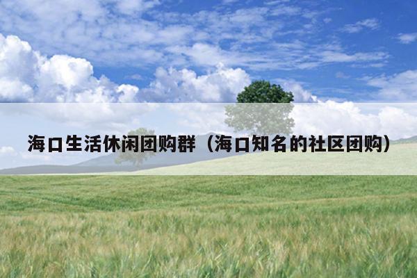 海口生活休闲团购群（海口知名的社区团购）